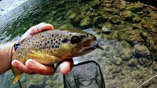 Dry fly ,river Gradac on dam| Musicarenje   na reci Gradac kod brane, na suvu musicu