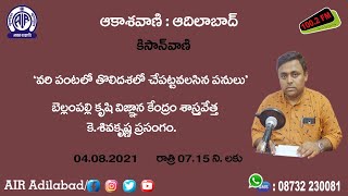 వరి పంటలో తొలిదశలో చేపట్టవలసిన పనులు ||  డా. కె.శివకృష్ణ