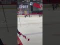 hockey goal