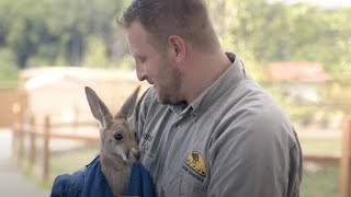 Bing Stories: Animal Adventure Park | Binghamton, New York