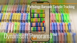 Pathology Barcode Sample Tracking Solution | Dynamsoft Panorama