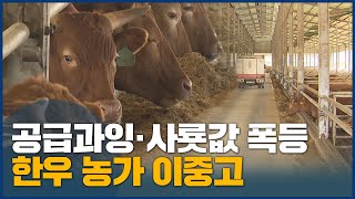 이중고 맞닥뜨린 한우 농가..소비 진작 부심