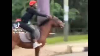 Protester rides on police horse 🐴🤣😅#Reject Finance Bill 2024