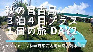 秋の宮古島旅行Day2　美の秋探し！宮古島絶景巡り：マングローブから極上のビーチまで！