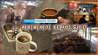 포커스 송파스토리 – 커피퇴비 자원이 됩니다~!