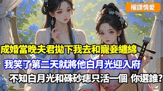 成婚當晚夫君拋下我去和寵妾纏綿，我笑了第二天就將他白月光迎入府，看白月光和硃砂痣自相殘殺，我去父留子獨掌王府大權#小说推荐