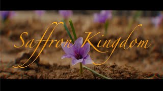 Saffron Kingdom | Official Trailer 2