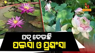 ଢେଙ୍କାନାଳ: ୧୦୦ ଟଙ୍କାରୁ ଆରମ୍ଭ ହୋଇଥିବା ବ୍ୟବସାୟ ଆଜି ଦେଉଛି ଲକ୍ଷ ଲକ୍ଷ ଟଙ୍କାର ରୋଜଗାର | NandighoshaTV