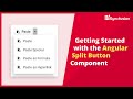 Getting Started with the Angular Split Button Component