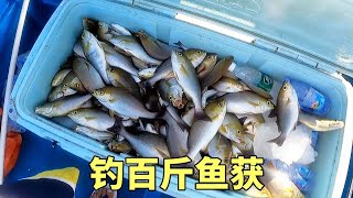 阿鋒帶著老闆來海區進貨式釣魚，狂釣超百斤的漁獲，這次真是收穫滿滿、賺翻啦