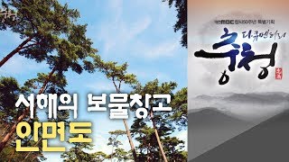 서해의 보물창고 안면도, 족보가 있는 안면도 소나무  대전MBC 다큐멘터리 [다큐충청 제1부:생명의 바다, 서해](2013)] 중에서