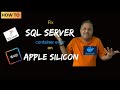 How to fix SQL Server Docker container error on Apple Silicon