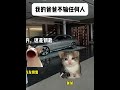 我的爸爸不输给任何人 猫meme 真实还原 感人 意想不到的结局 猫meme小剧场 cat 迷恋 萌宠 funny 貓 萌寵