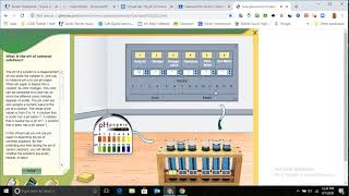 pH Virtual Lab Instructions