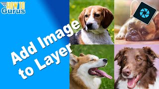 Photoshop Elements Add Image to Layer - Add Photo to Layer