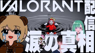 Playtube Pk Ultimate Video Sharing Website