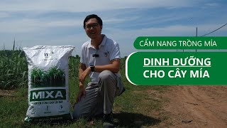 TTC AgriS I Cẩm nang trồng mía - Dinh dưỡng cho cây mía