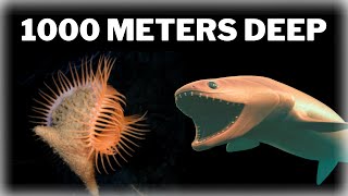 Amazing Creatures Living 1,000 Meters Deep