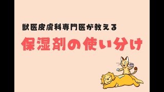 獣医皮膚科専門医が教える 保湿剤の使い分け（前編）