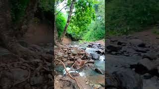 thiruvannamalai hidden water fall 🍁 #chengam #thiruvannamalai #travel