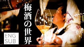 《ウイスキー好きも納得》”香る”梅酒。#山崎蒸溜所 #梅好き#バーテンダー#staybar