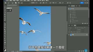 【photoshop小技巧】 释放你的艺术潜能：Photoshop 自定义画笔预设教程 #ps基础 #初学ps #ps小技巧 #ps教程 #ps修图 #ps教学 #摄影后期 #笔刷 #后期 #大神ps