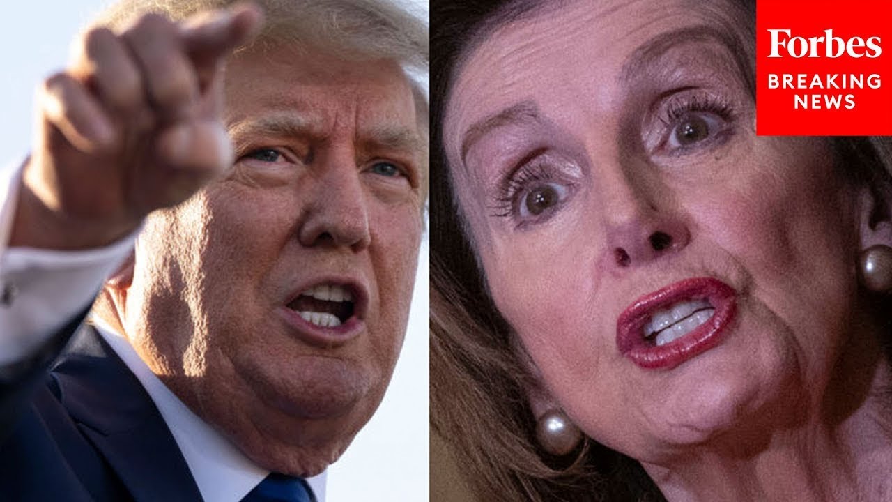 'She's An Animal Too!': Trump Lets Loose On Pelosi