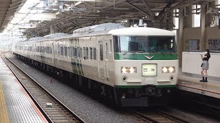 185系200番台B6編成 団臨「緑色のストライプに熱狂 ひたすら185系」 国立駅通過