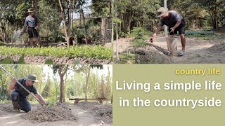 country life.Caring for and fertilizing vegetables in the garden