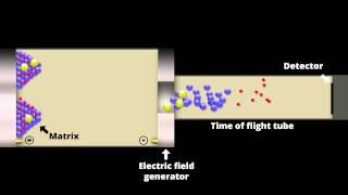 Time of Flight Mass Spectrometer