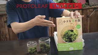 苔テラリウムフェア 販売書籍紹介