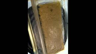 Making Cannabis Extracts