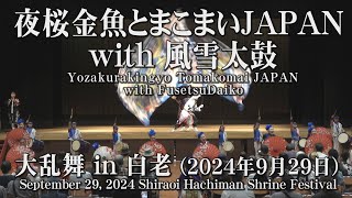 【夜桜金魚とまこまいJAPAN with 風雪太鼓】2024年9月29日_大乱舞in白老_Yozakurakingyo Tomakomai JAPAN with FusetsuDaiko