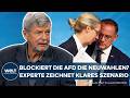 AFD-ABSTIMMUNG: Ein Störfeuer der Vertrauensfrage und der Neuwahlen? Experte skizziert Szenario