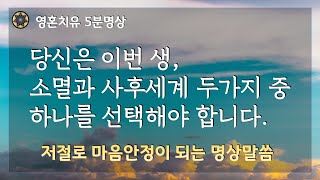 #17 당신은 이번 생 소멸과 사후세계 두가지 중 하나를 선택해야 합니다. [영혼치유  5분명상, 저절로 마음안정이 되는 명상말씀]