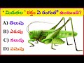 General knowledge in Telugu ||Interesting Questions in Telugu|| Facts || SR GK Telugu