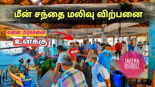 யாழ்ப்பாணத்தின் மிகபெரிய மீன் சந்தை / Jaffna Fish Market / Tamil Bros