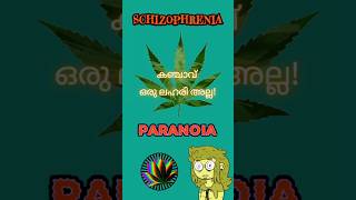 കഞ്ചാവ് ഒരു ലഹരി അല്ല! മരുന്നാണ്! സത്യാവസ്ഥ എന്ത്?വീഡിയോ മുഴുവനായി കാണുക! #cannabisheals #cannabis