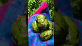 Let's make Abarella pickels | අඹ වගේද ඇඹරැල්ලා මෙහෙම කාලා බලමුද? 😍 #food #cooking #shorts#tranding