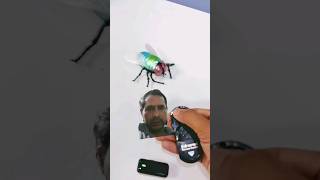 Remote Control Simulation Housefly