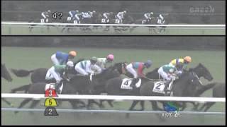 2013年 2歳未勝利 / ローハイド