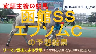 函館スプリントステークス エプソムカップ 2021 【予想結果】２か月連続回収率100％超！実証主義の競馬：函館スプリントＳ＆エプソムＣの予想結果･･･的中 _0087