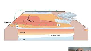 ENSO produces  Anomalies