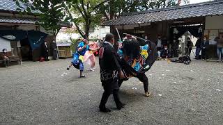 お祭りハンター早良皇子の、お祭り探訪記～！　神子浜神楽神社秋祭り～　【太刀の舞】