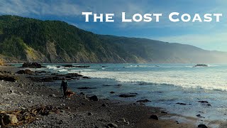 Exploring the Last Untouched Areas of California. The Lost Coast and the Giant Redwoods!