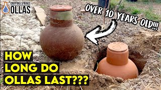 How to make your Olla withstand the test of Time!!! #gardening #plants #garden