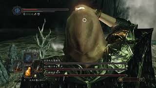 DARK SOULS 2 下手だけど「死者の洞のボス」3対1で撃破