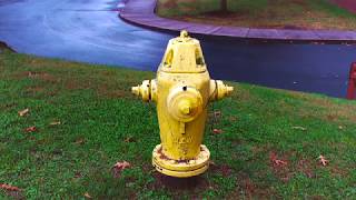 Interviews with Fire Hydrants