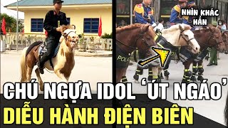 Chú ngựa IDOL mới nổi 'ÚT NGÁO' tham gia đoàn diễu binh kỉ niệm chiến thằng ĐIỆN BIÊN PHỦ | TÁM TV