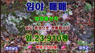 물번,760번) 임야23.910평 중간으로 관통하는 임도 평당,3.500원에 매매합니다, 농림지역,임업용산지이며 토성: 양토로 최고의 토질을 자랑합니다 매매가,8.500만원입니다